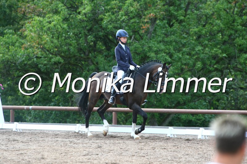 109M2691_Holsteins Wiliam_Dressur_A.JPG